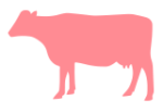 Carne roja
