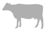 Carne roja