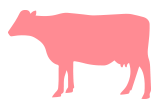 Carne roja