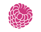 Frambuesa