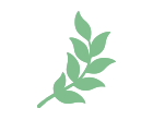 Laurel
