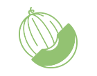 Melón