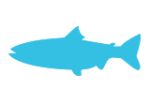Pescado azul