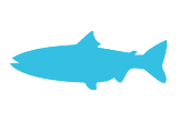 Pescado azul