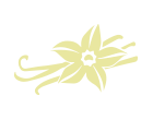 vainilla