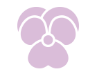 Violeta
