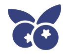 arándanos